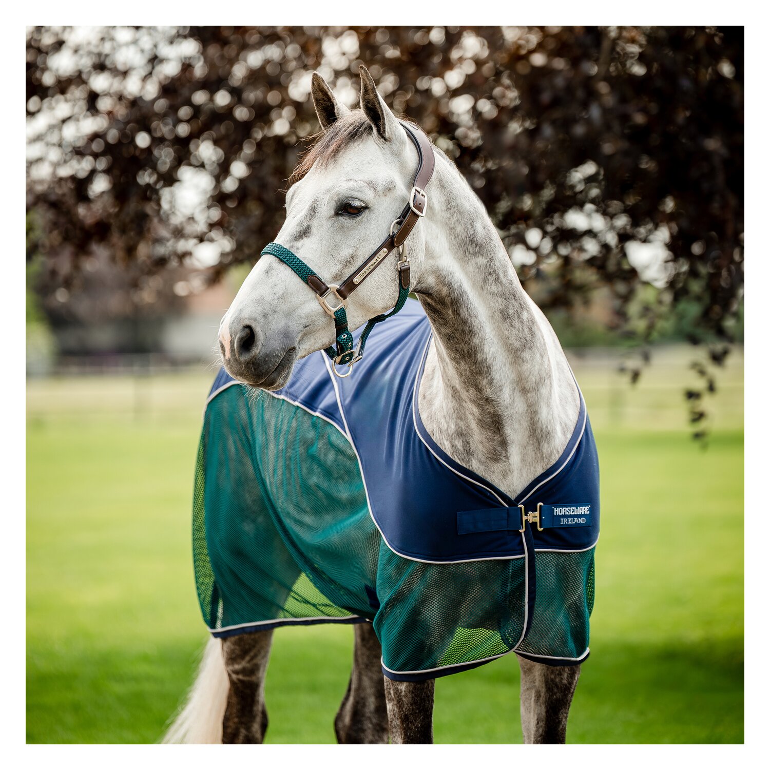 HORSEWARE Signature Hybrid-Abschwitzdecke Sport Cooler  - navy/hunter green & silver