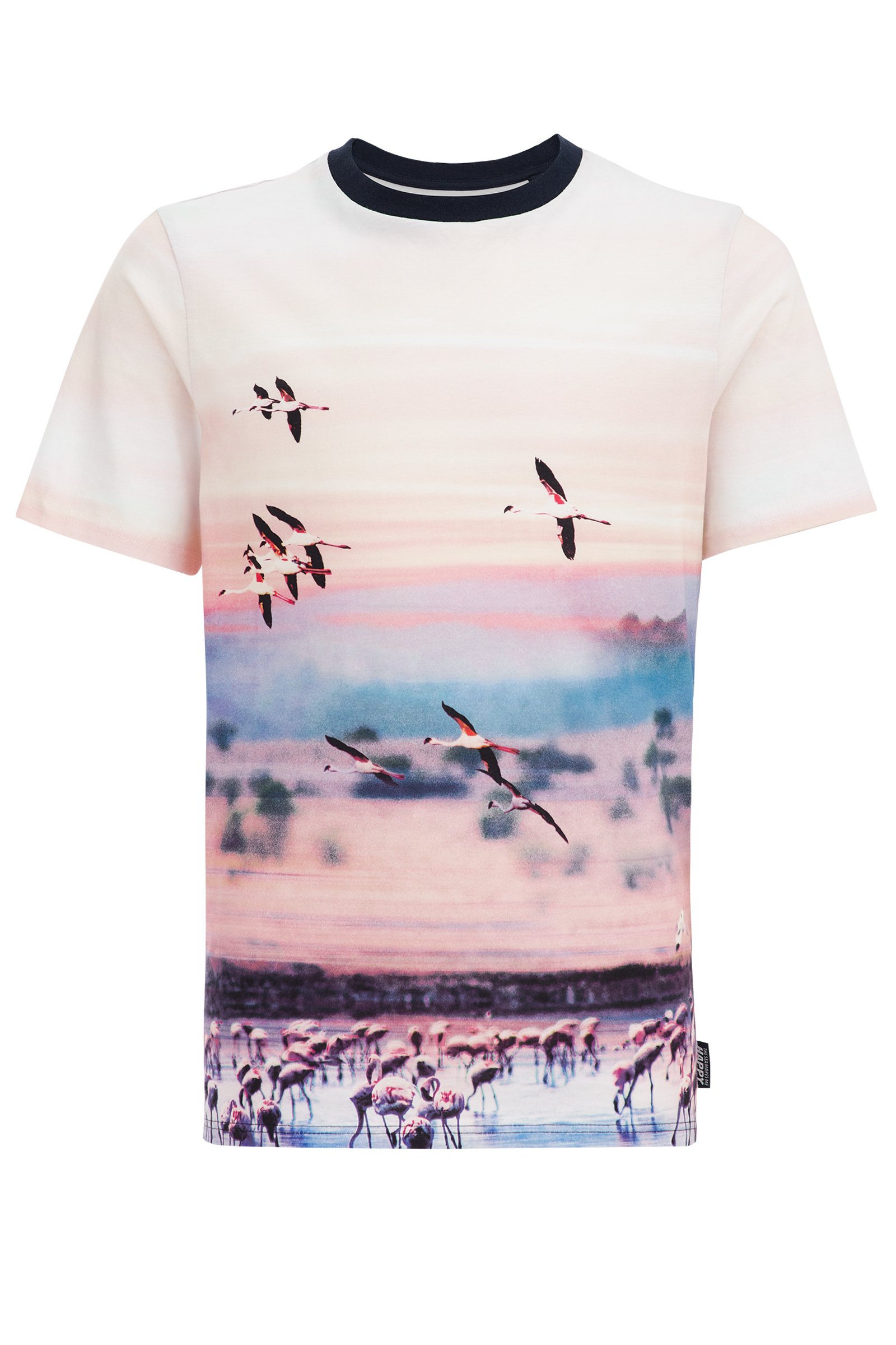 Jongens T-shirt met dessin WE Fashion Multikleur