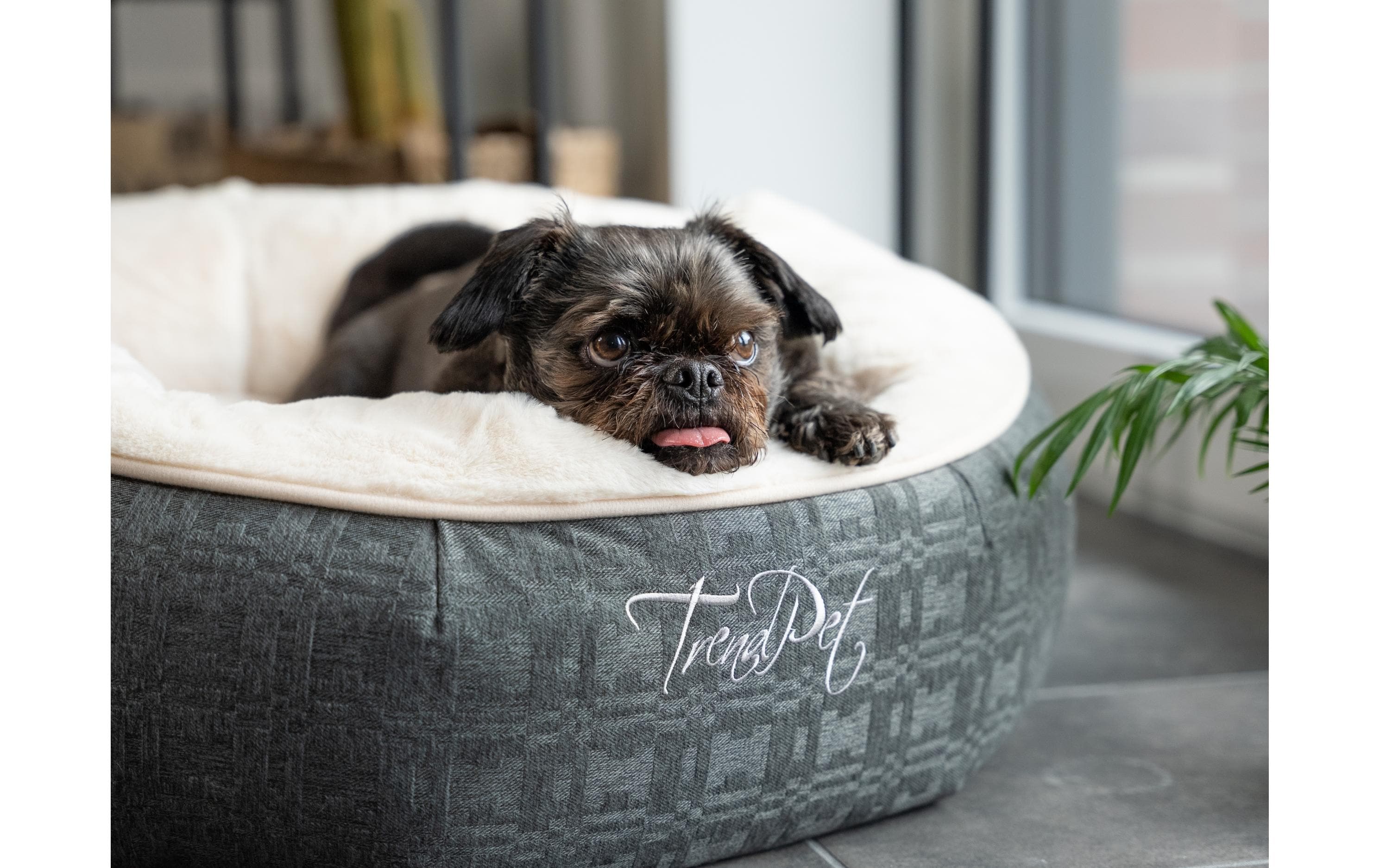 Hunde-Bett LunaBed, Beige, SRundes Bett für kleine Hunde und Katzen
