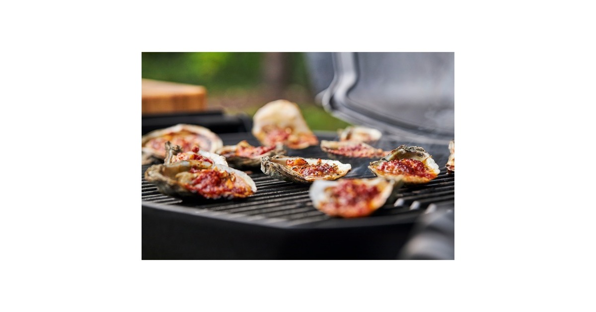 WeberQ 1400 elektrische barbecue  (Grijs)