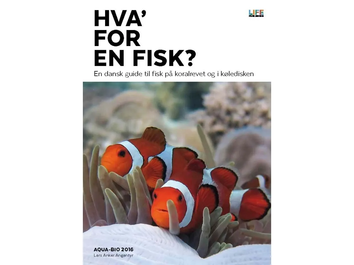 Hva' for en fisk? | Lars Anker Angantyr
