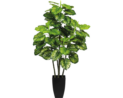 Kunstplant Maranta, hoogte: 105 cm, groen