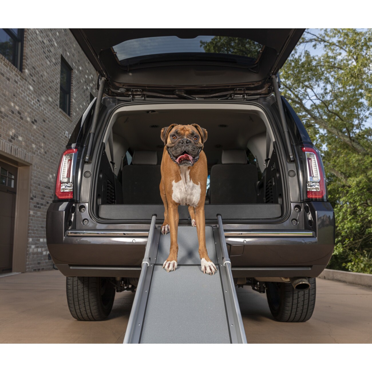 PetSafe Happy Ride Teleskop-Hunderampe