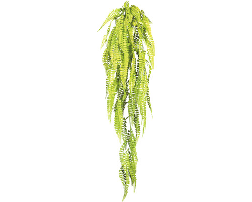 Kunstplant Adianthumhangplant, hoogte: 80 cm, groen