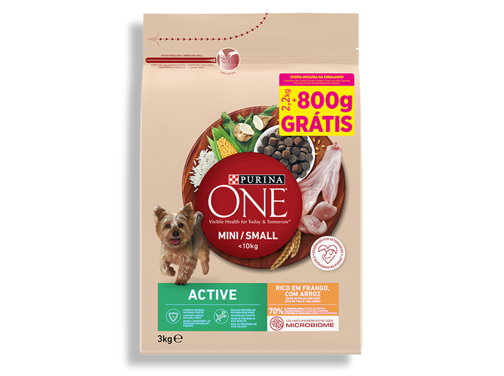 RAÇÃO PARA CÃO PURINA ONE MINI ACTIVE 2.2KG 800G