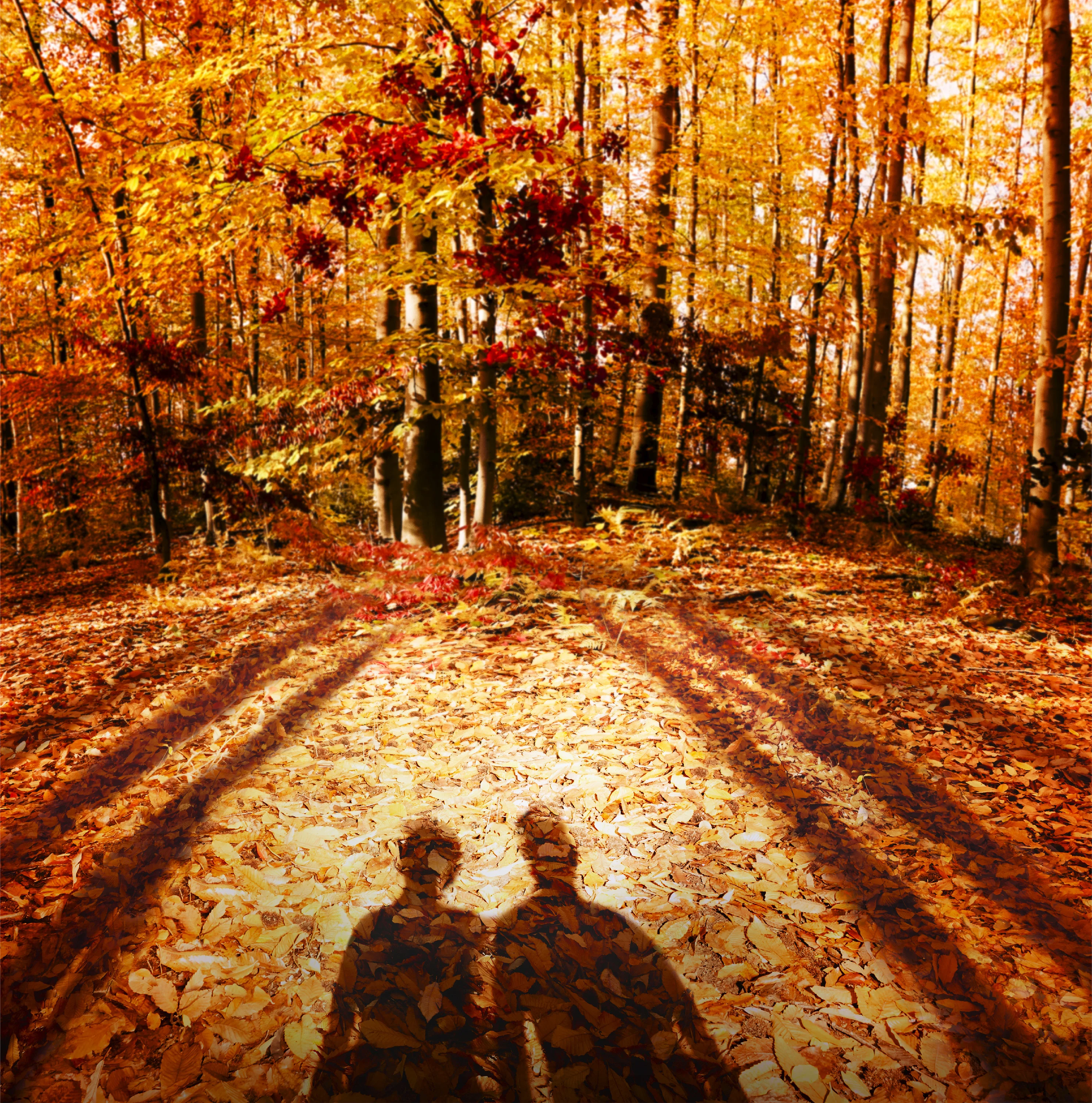 REPLICA AUTUMN VIBES - EAU DE TOILETTE |