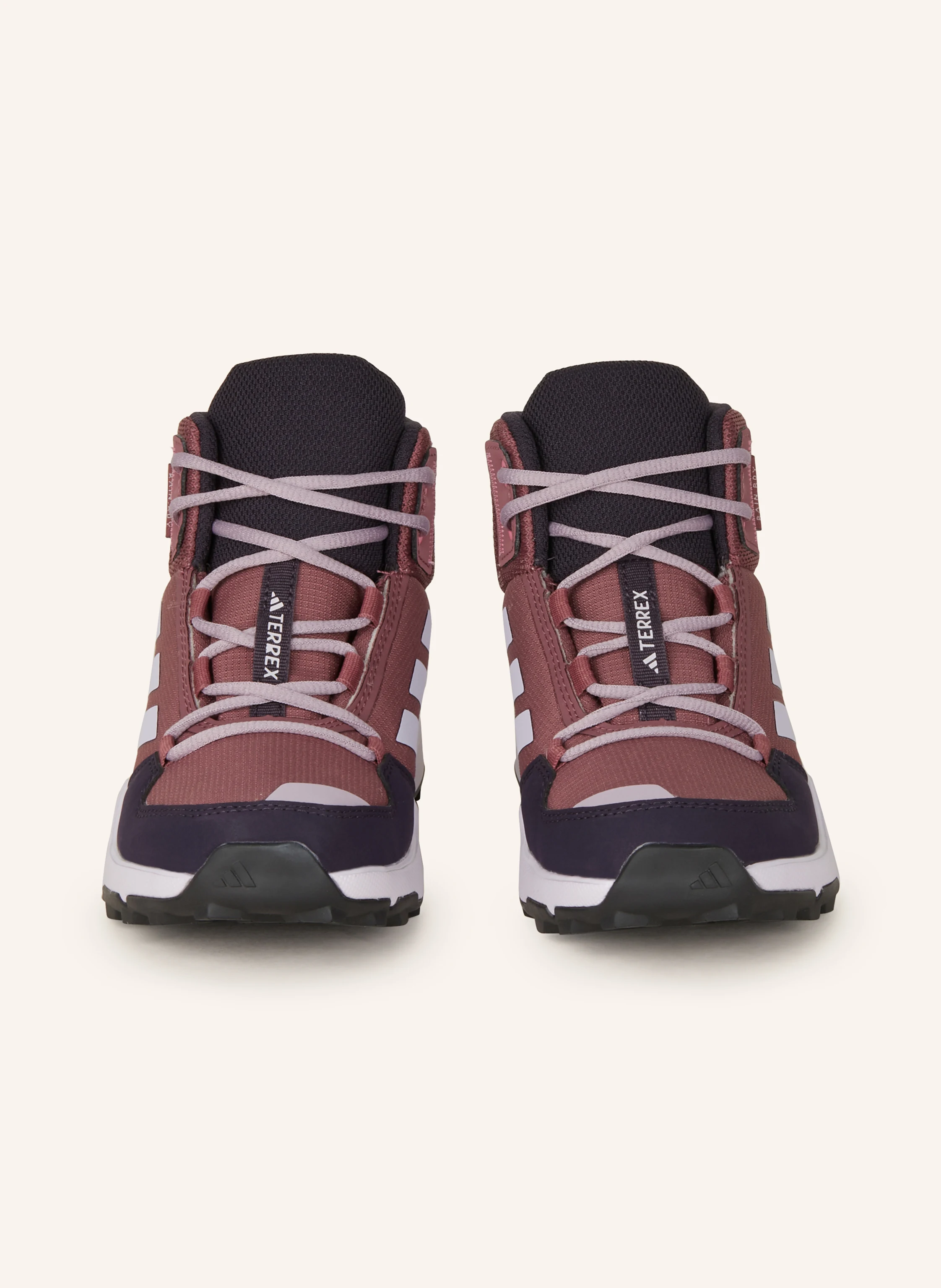 adidas TERREX Trekkingschuhe TERREX AX4R R.RDY MID