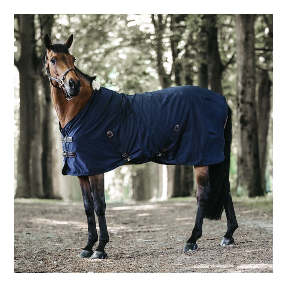 Kentucky COTON - Chemise navy