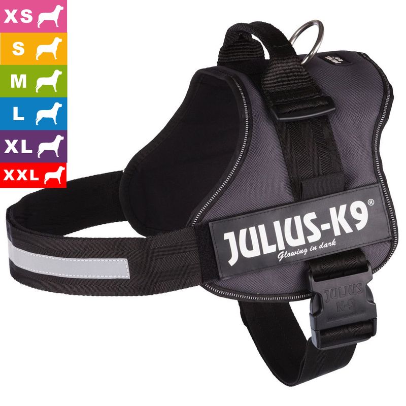 Harnais Julius-K9 Power, anthracite