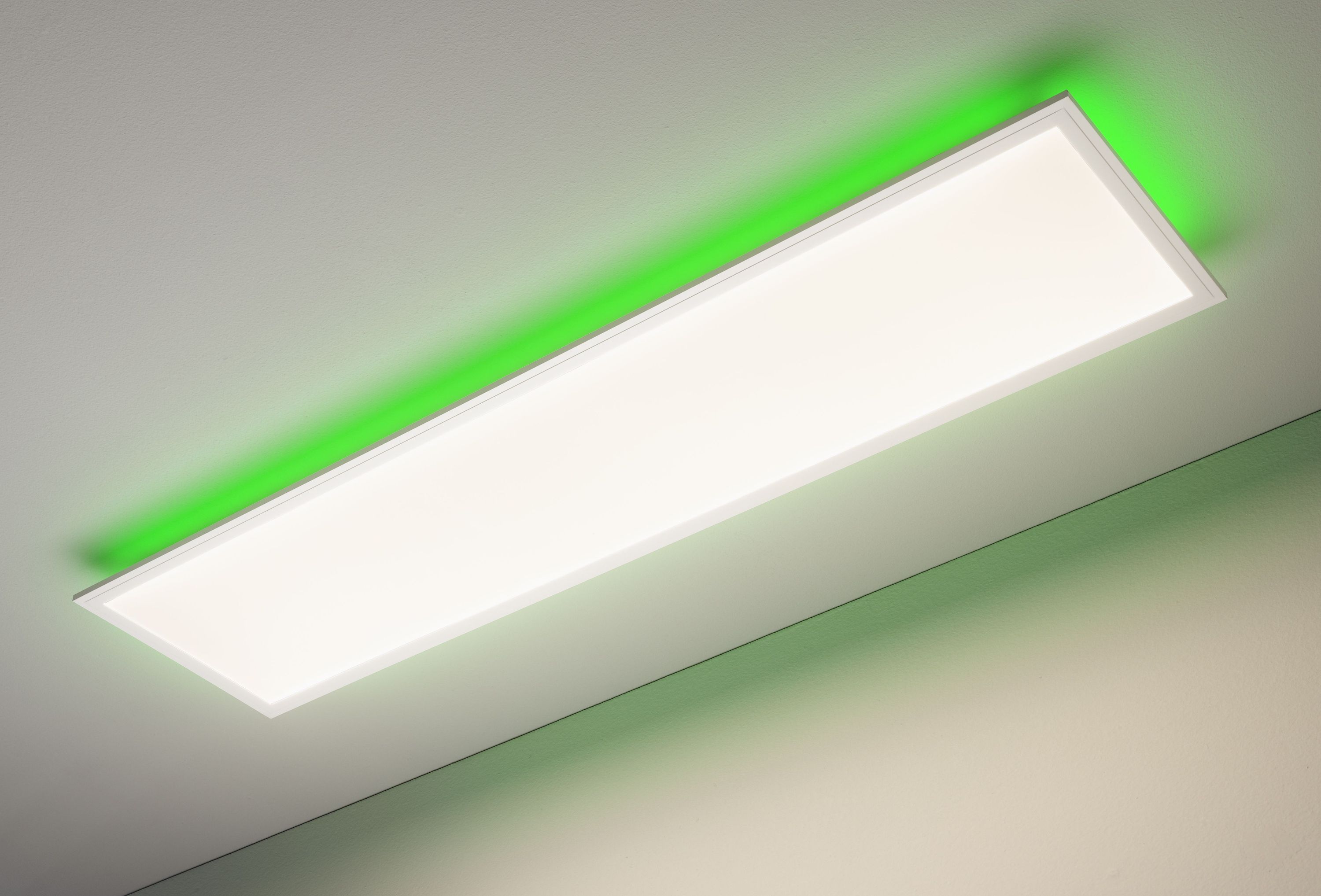 Panel COLORES