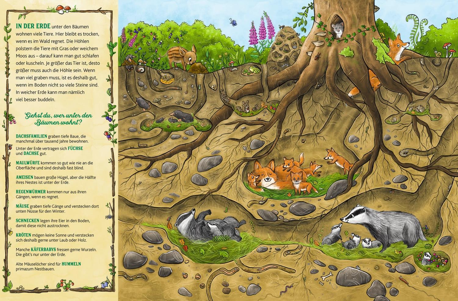 Das große Wald-Wimmelbuch