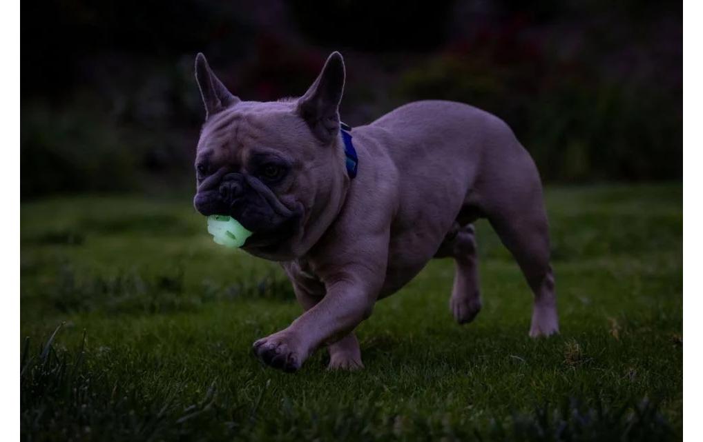 Leuchtball Max Glow Air Fetch Grösse M, 2 StückPhosphoreszierender Erholungsball für Hunde