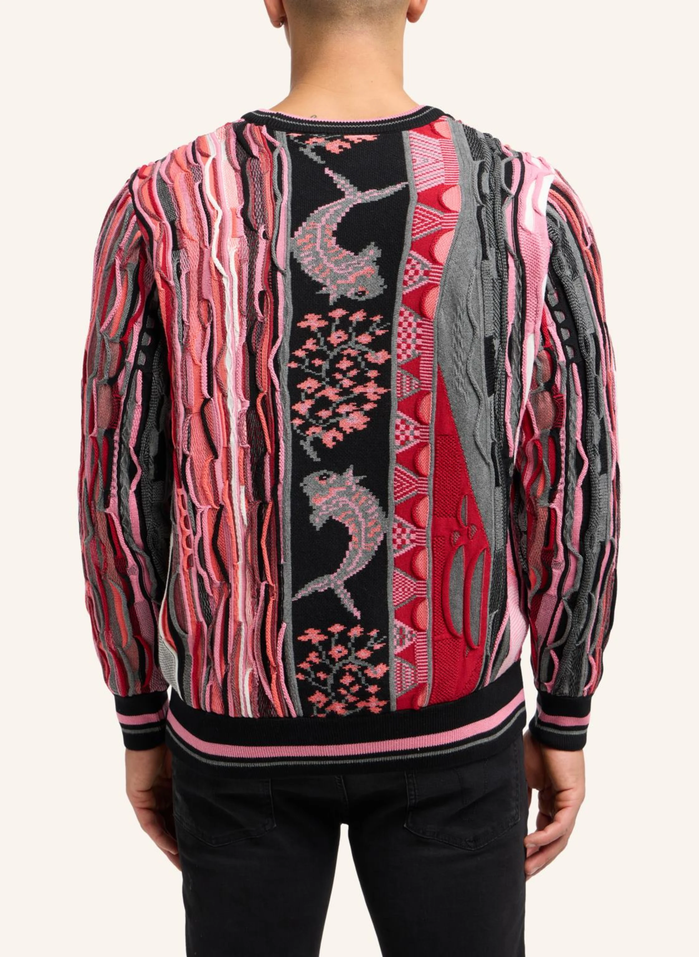 CARLO COLUCCI Unisex Pullover - From Milano to Tokyo DONATO