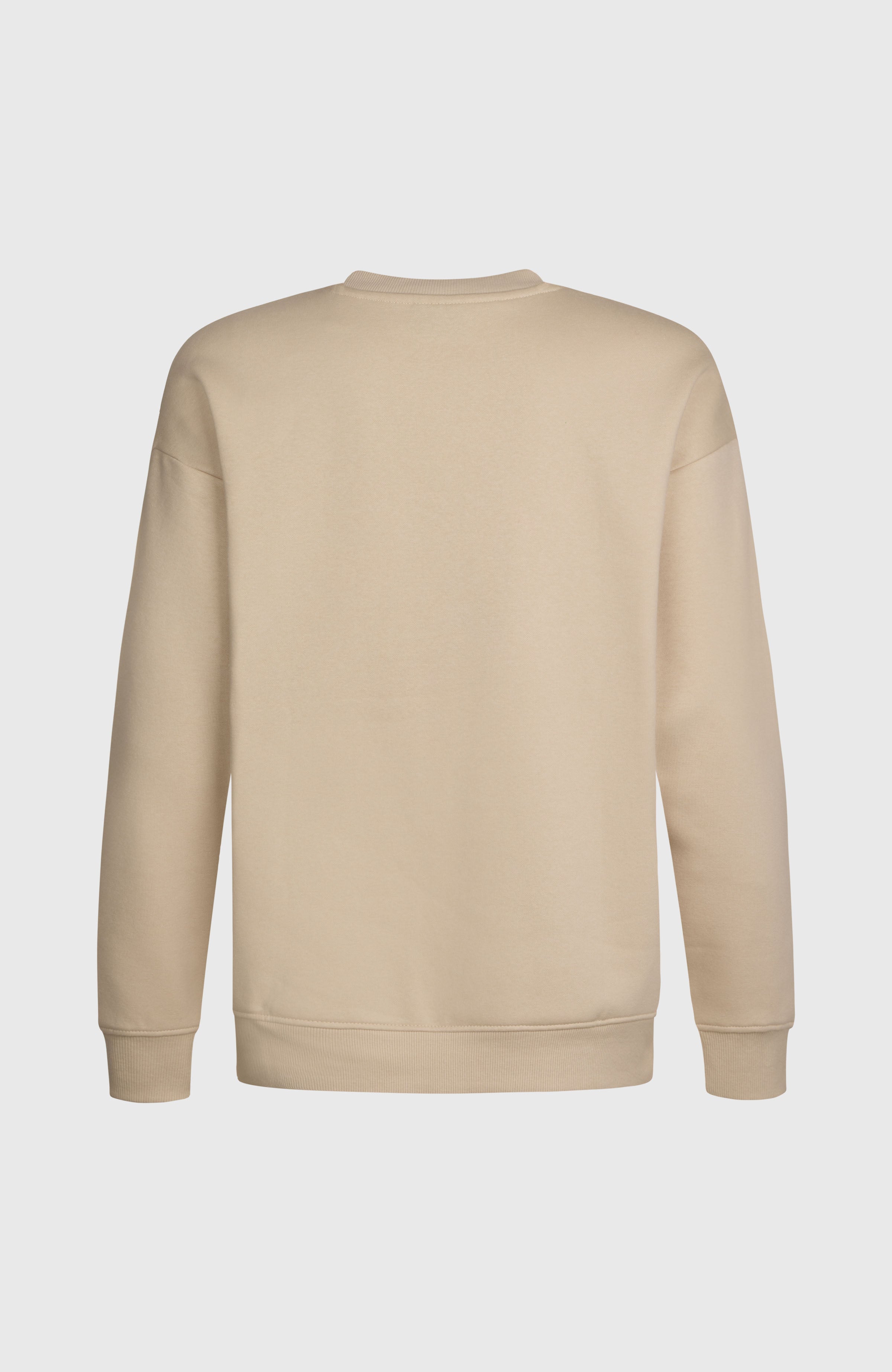 Future Surf Crew sweater