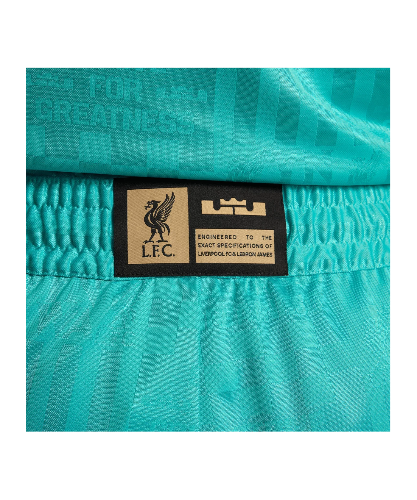 Nike FC Liverpool x LeBron Basketball Shorts F392