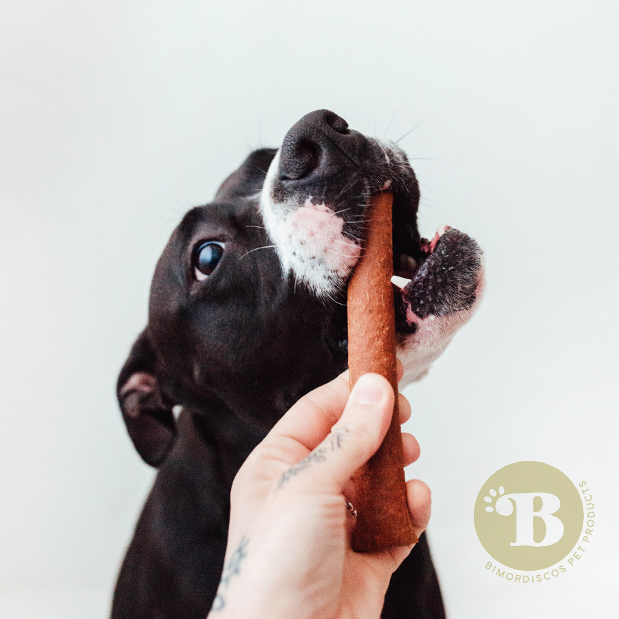 BIMORDISCOS Palitos de Salmão para Cães
