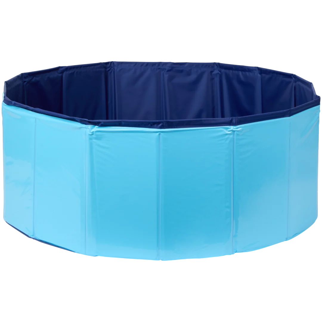 Piscine pour chien