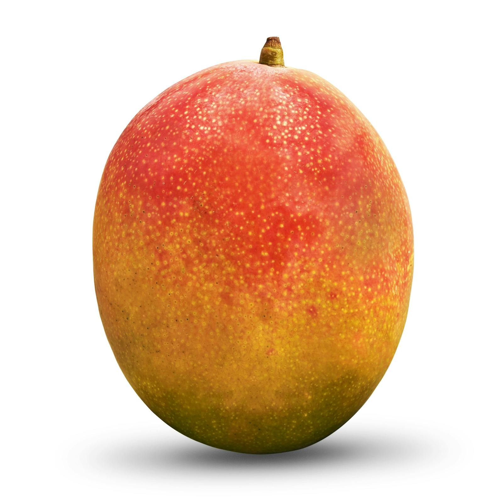 mangue