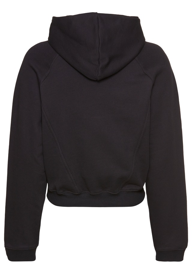 Reebok Kapuzensweatshirt »D Hoodie«