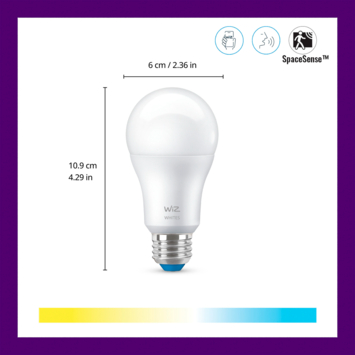 WiZ Connected LED peer E27 60 W mat koel tot warmwit licht dimbaar 2 stuks
