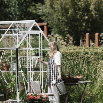 Royal Well Kate V kweekkas aluminium wit 8,33 m²