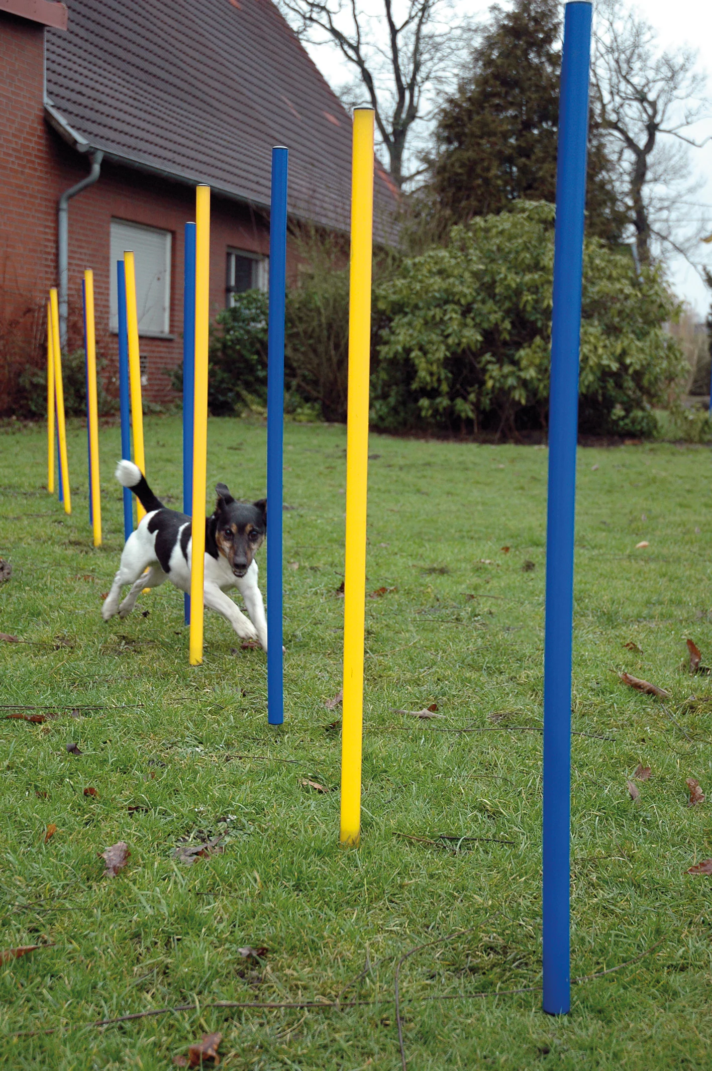 12-teiliges Agility Slalom Set - Hindernis mit 12 Stangen und Abstandsschnur