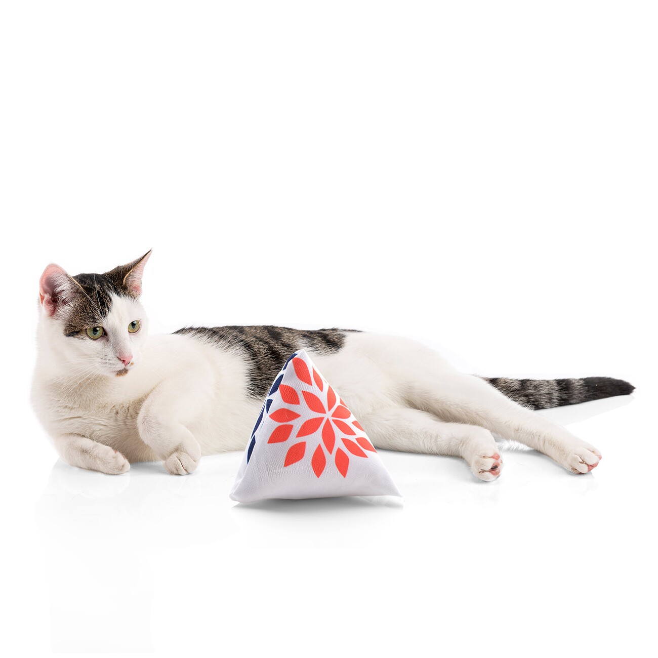 Canadian Cat Company Catnipspielzeug 6x Schmusepyramide Nordic Flower