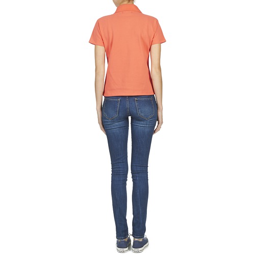 BOTD - ECLOVERA - Orange