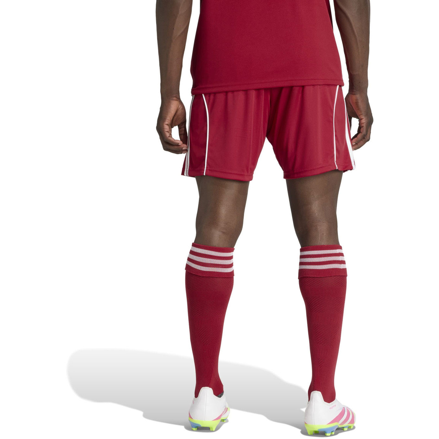 adidas Liverpool Pre-Match Trainingsset