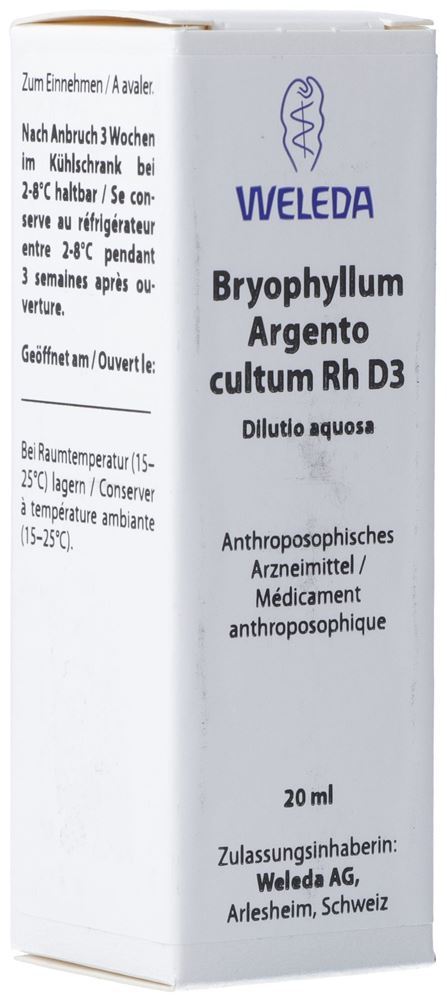 Weleda Bryophyllum Argento cultum Rh Dil 3 D Dilutio aquosa Fl 20 ml