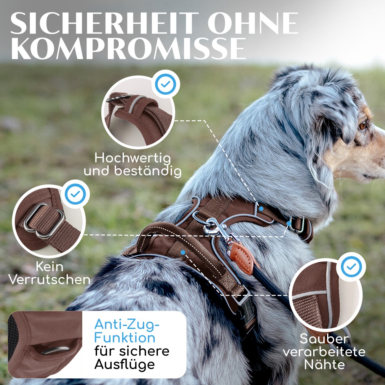 Freudentier Hundegeschirr mit Mesh-Polsterung XS