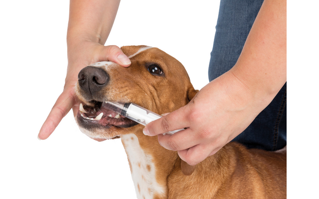 Jollypaw Erste Hilfe Set für Hunde und Katzen