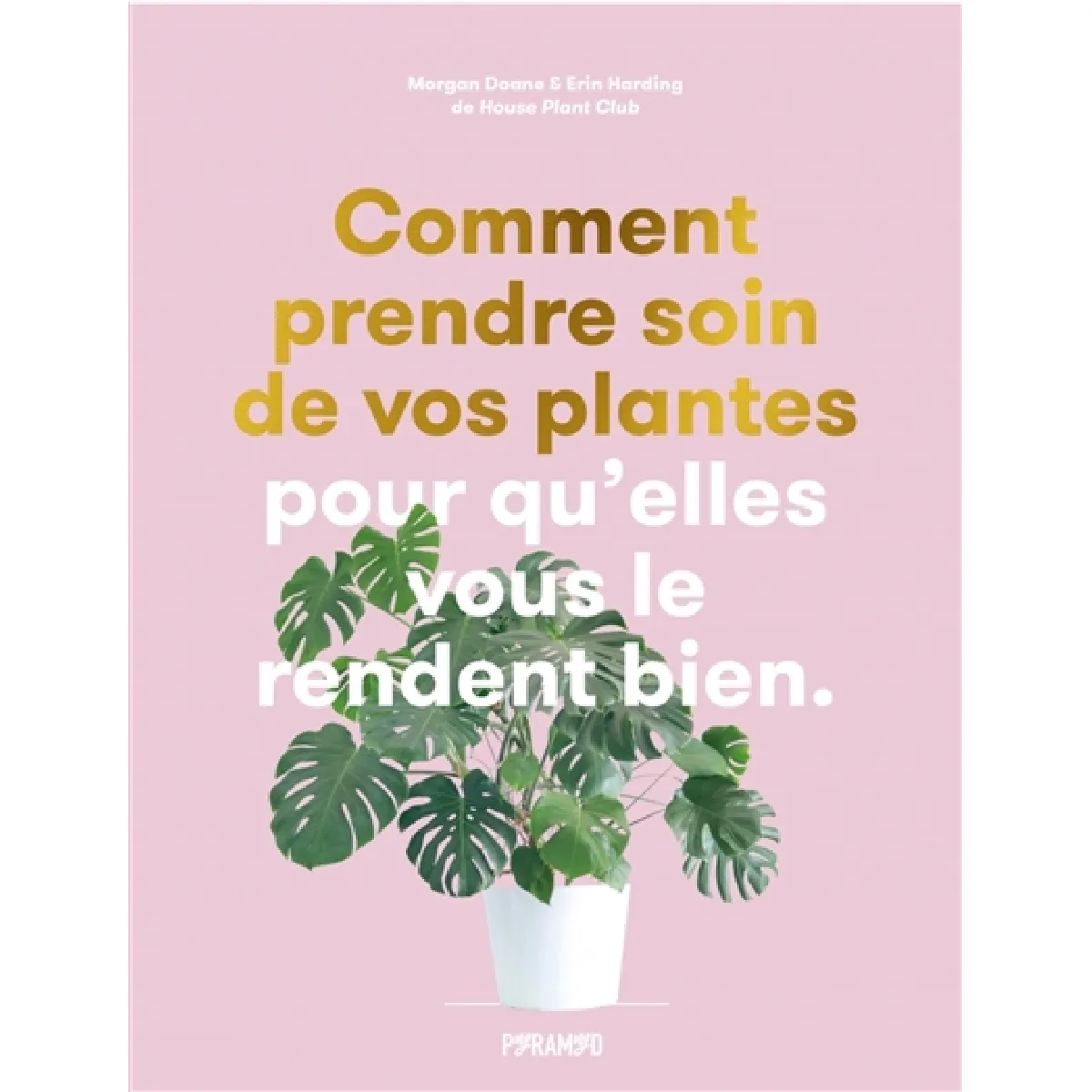 Comment prendre soin de vos plantes pour qu'elles vous le rendent bien · Occasion