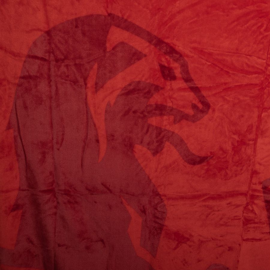 Norvège Fleece Couverture - Rouge