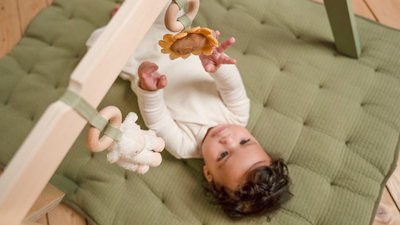 Little Dutch Little Farm Babygym Tre