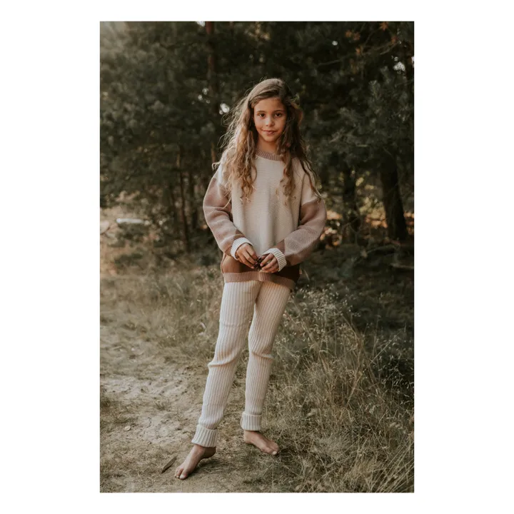 Yuki Pull Chunky Coton Bio Color Block | Marron