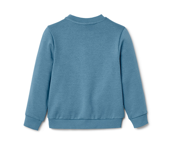 Kinder-Sweater mit Dino-Applikation