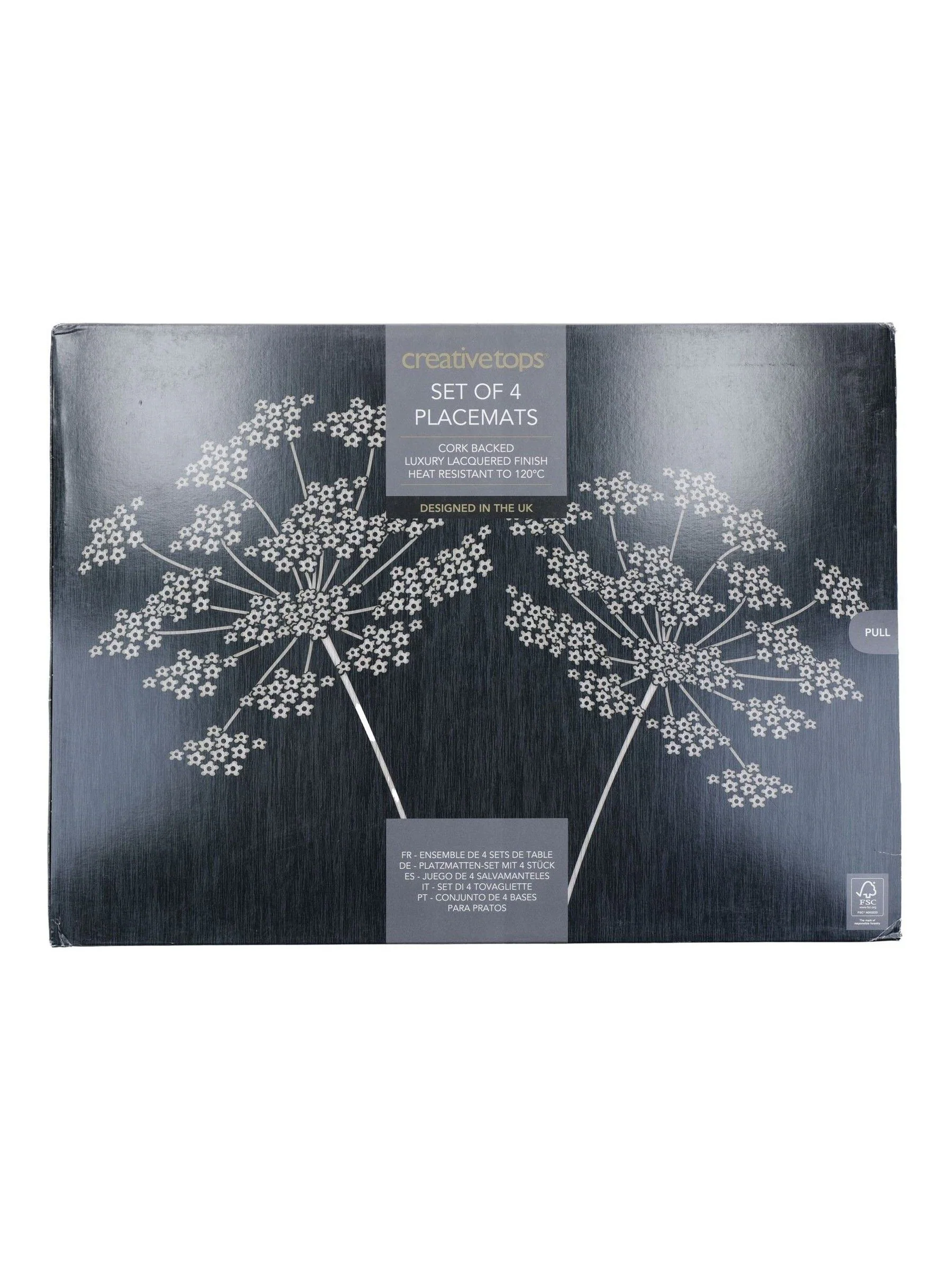Creative Tops Set of 4 Large Cork Backed Placemats with Art Print