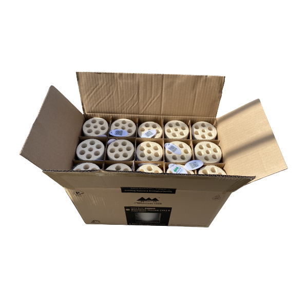 Mountain tree bacterial house lotus root 2 (xl) 80mm x 250mm carton de 15 pièces