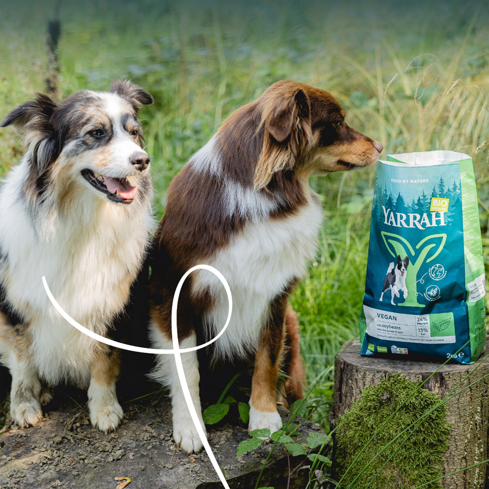 Yarrah - Droogvoer Hond Vega Bio