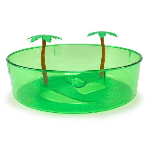 Aquário redondo para tartarugas com palmeira verde