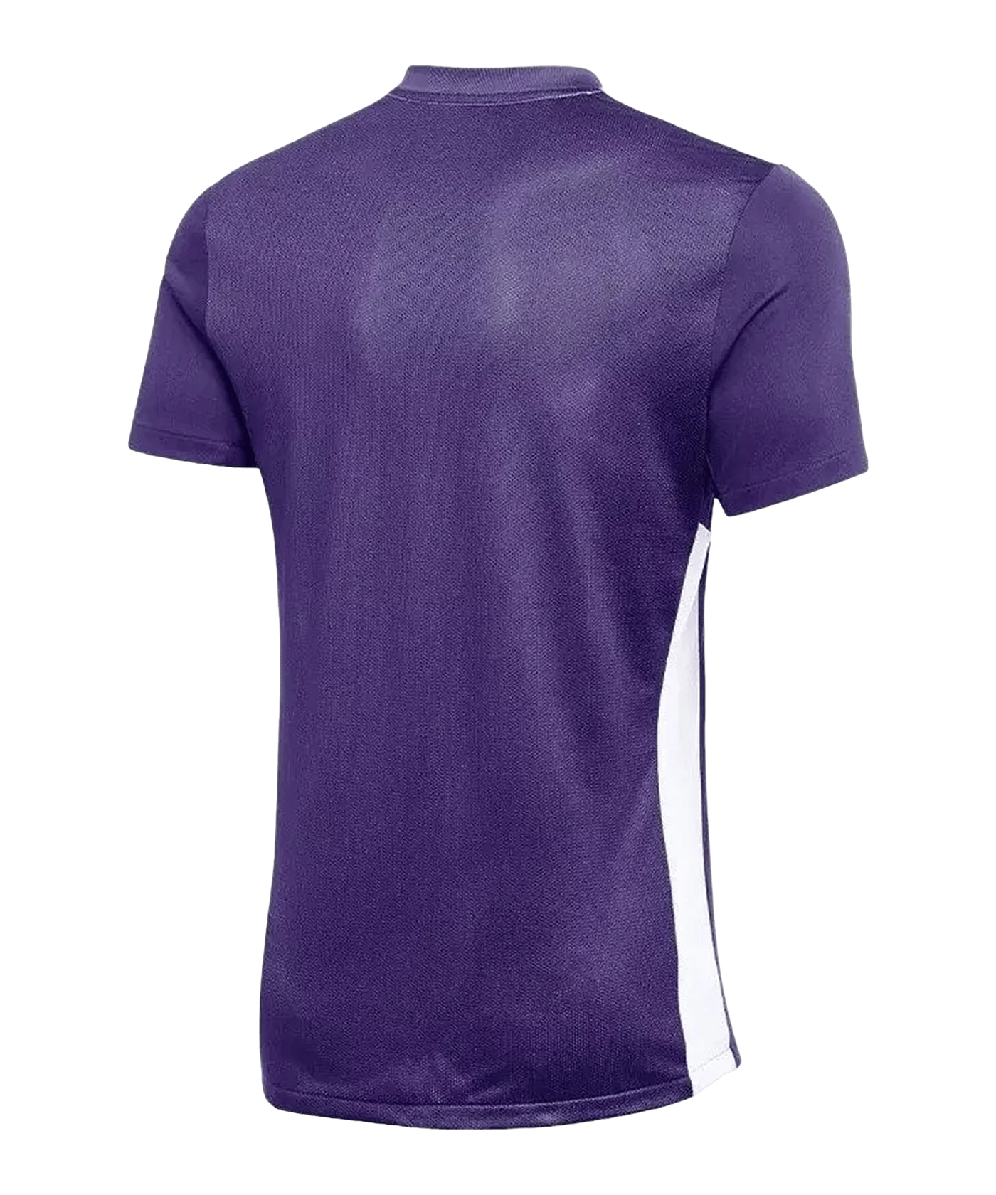 Nike Park Derby IV Trikot Lila Weiss F547