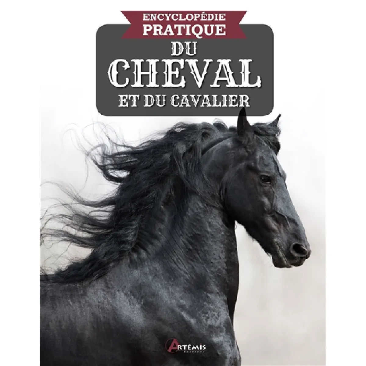 Encyclopédie pratique du cheval & du cavalier · Occasion