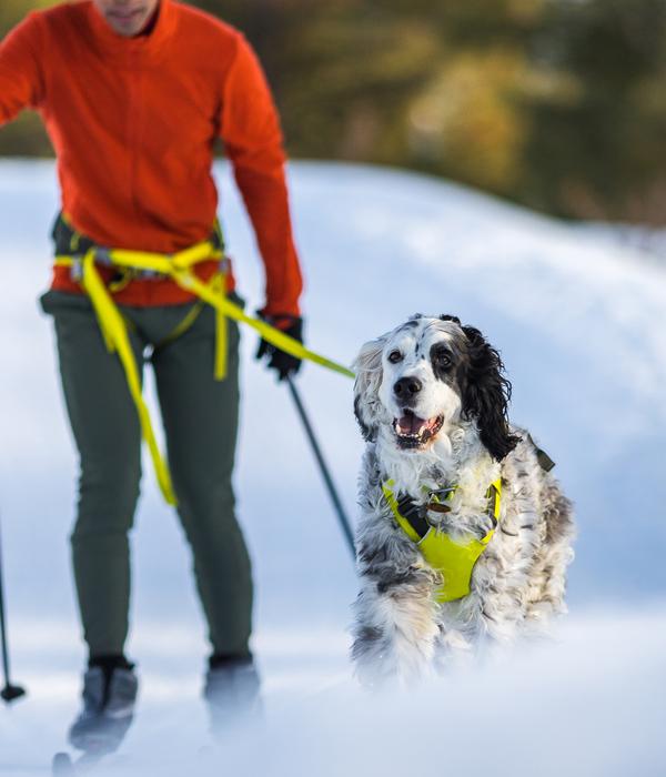 RUFFWEAR® Joring System Omnijore™