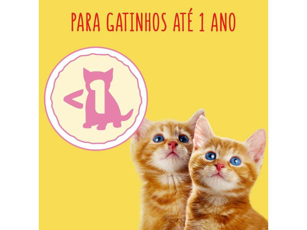 RAÇÃO PARA GATO FRISKIES JÚNIOR 400G