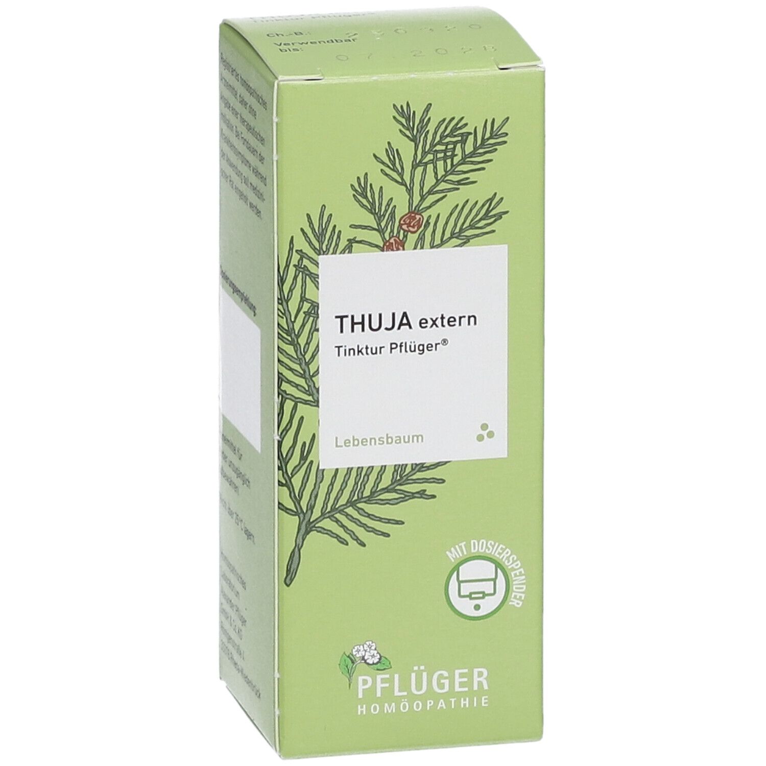 Thuja extern Tinktur Pflüger®