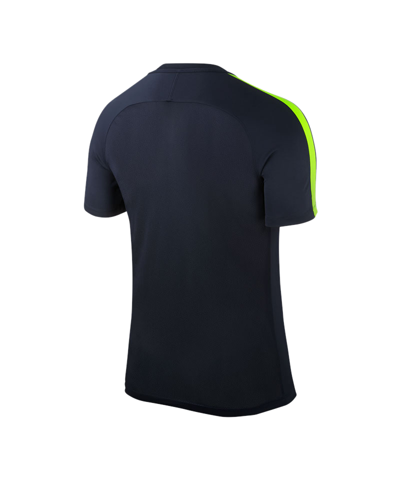 Nike Squad 17 Dry Trainingstop Blau Gelb F451