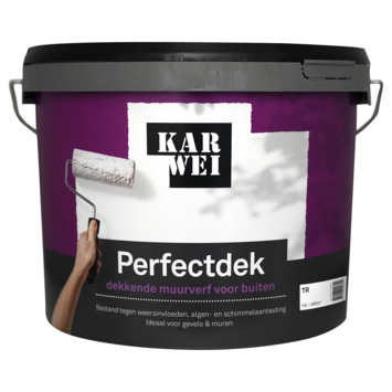 KARWEI Perfectdek muur en gevel mat buiten 10 liter