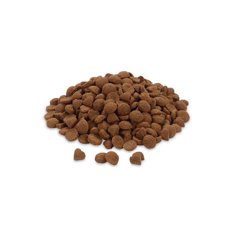 Feringa Adult Duo poulet, agneau pour chat