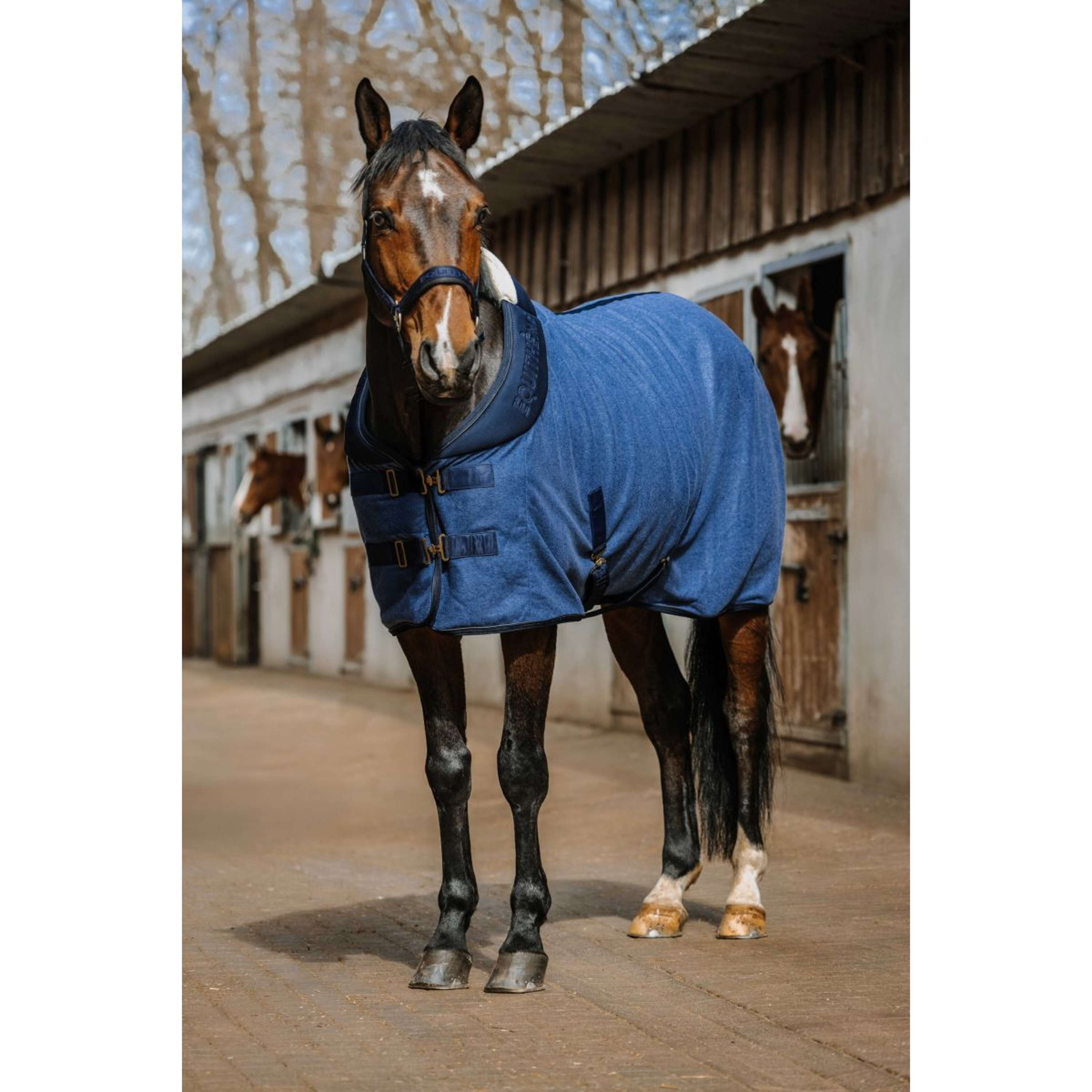 EQUITHÈME Zweetdeken Comfortech Navy